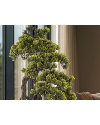 KENGAI - BONSAI 74CM